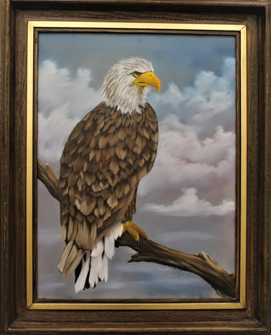 framed painting of a bald eagle